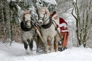 Santa in a sleigh pulled by two dapple gray horses