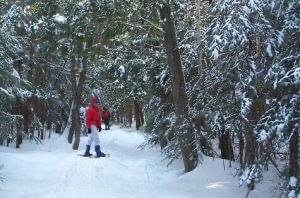 Women in red coat snowshoeing in forest