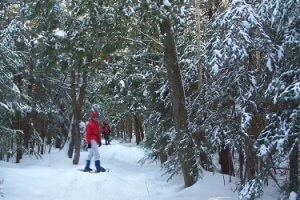 Two people snow shoeing at Pigeon Forest