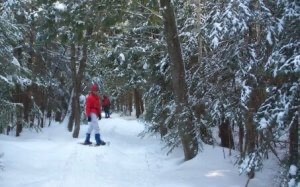 Woman in a red coat on a snowy trail in Pigeon River Forest
