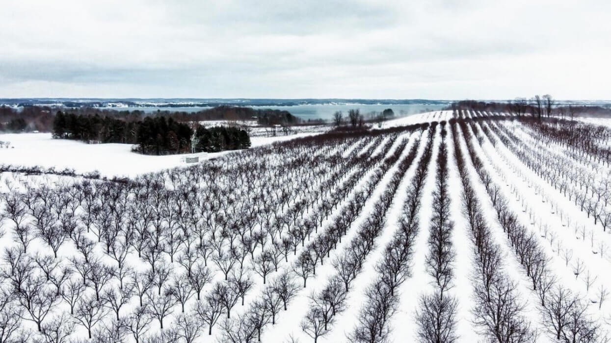 Favorite Winter Things include exploring the vineyards at Grey Hare Inn