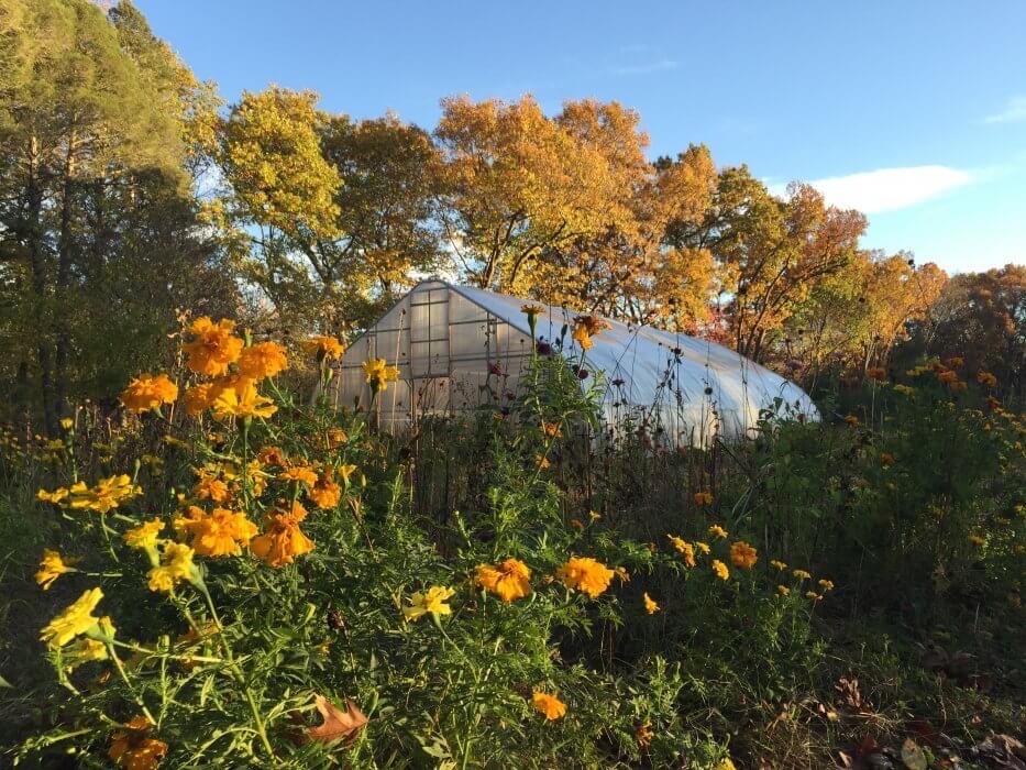 Greenhouse at Goldberry Woods