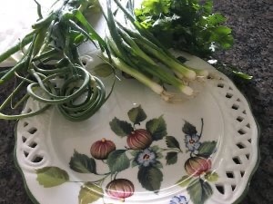 Garlic scapes, Green Onions and Parsley Fresh from the Garden on a plate at House on the Hill B&B