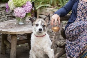 Maggie the dog sits next to a woman with a glass of wine.