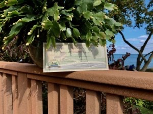 An Michigan B&B gift certificate with a Christmas cactus in bud and a lake in the background