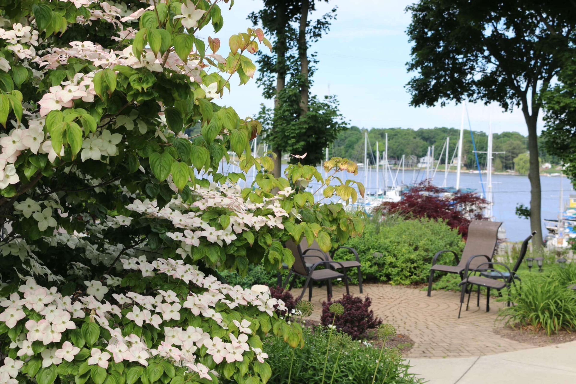Lakeside patio with sailboats in the background