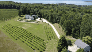 Aerial shot of Grey Hare winery