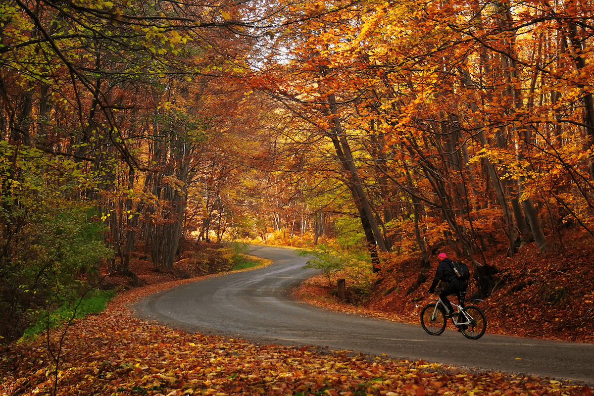 Biking on a windy road in the fall