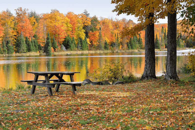 Picnic Table beside the Lake in the fall
