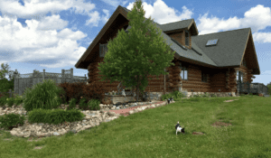 A Dove Nest Bed and Breakfast- a log cabin on a hill with a dog in for ground