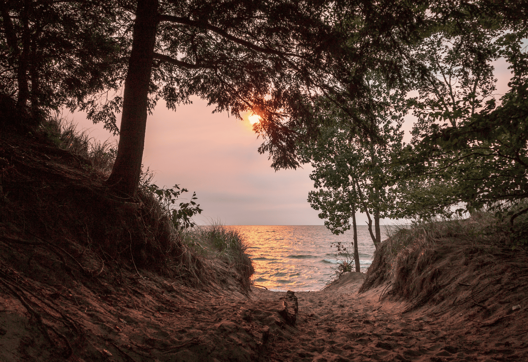 Entrance to a Beach at Sunset