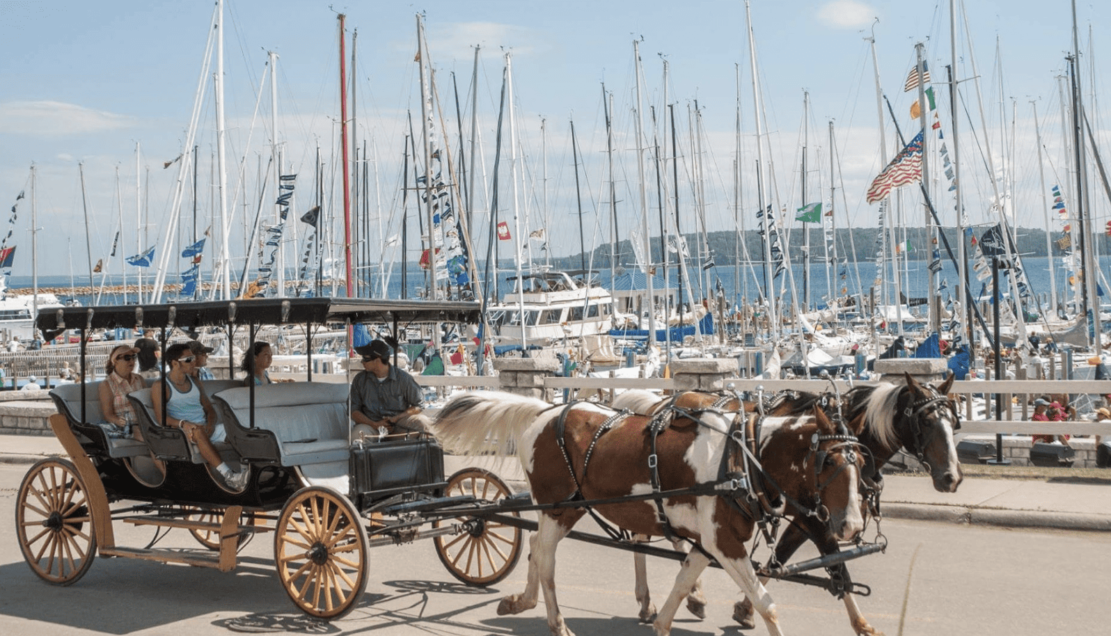 Horse drawn carriage with boats in the background