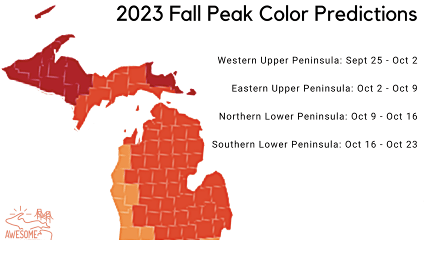 Predictions for fall 2023 Color in Michigan