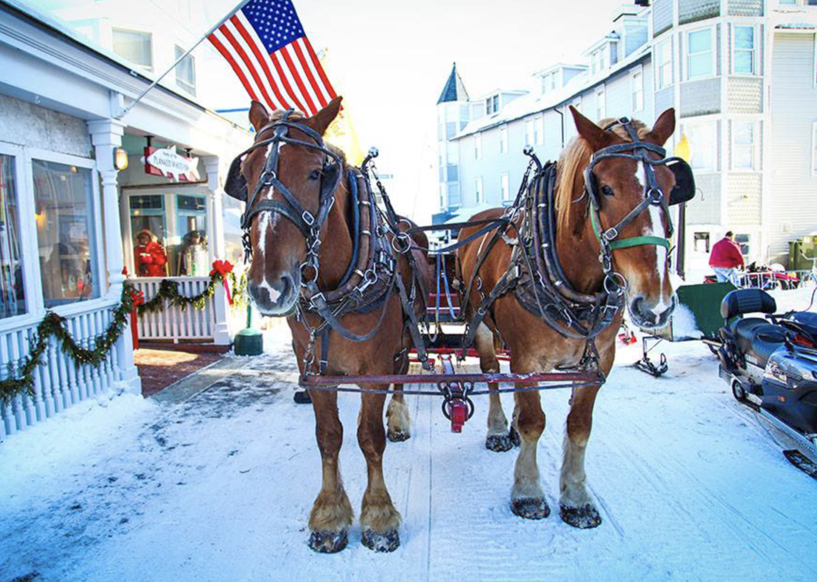 Horse drawn carriage ride with flag in the background