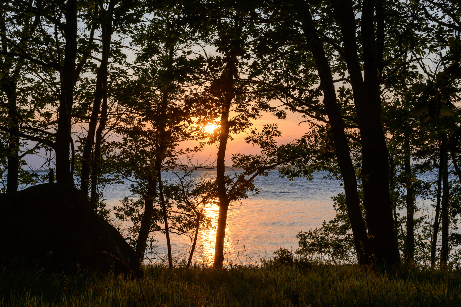 Sunset of Lake Michigan through a tree edged beach