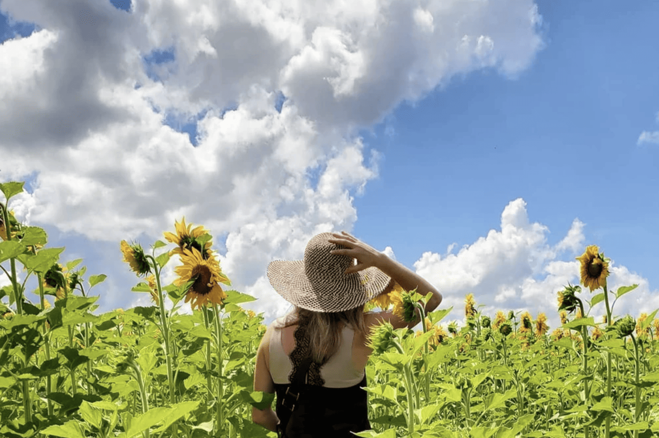 Woman in a sun flower field