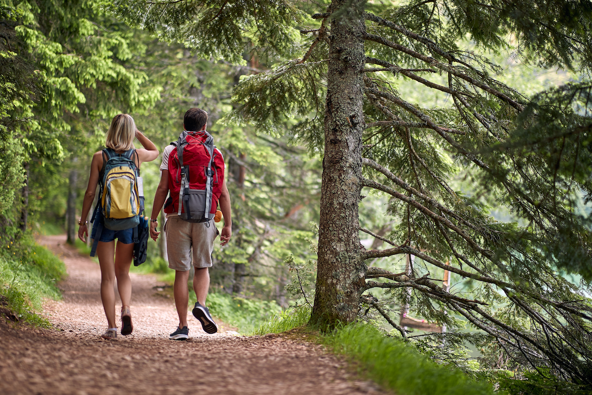 Couple walking on a trail in the forest