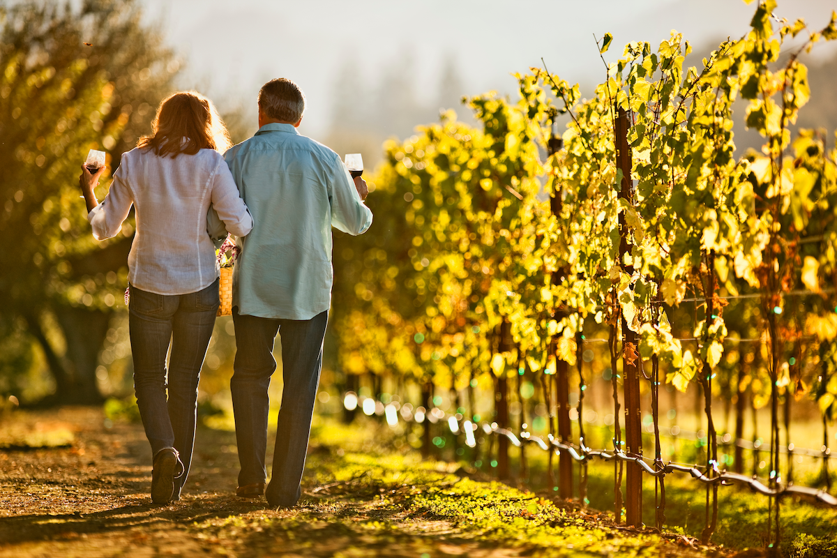 Couple walking through a vineyard with glasses of wine
